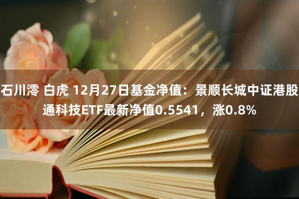 石川澪 白虎 12月27日基金净值：景顺长城中证港股通科技ETF最新净值0.5541，涨0.8%