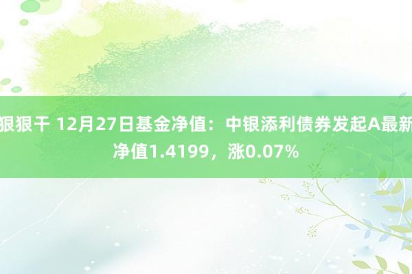 狠狠干 12月27日基金净值：中银添利债券发起A最新净值1.4199，涨0.07%