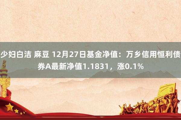少妇白洁 麻豆 12月27日基金净值：万乡信用恒利债券A最新净值1.1831，涨0.1%