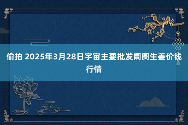 偷拍 2025年3月28日宇宙主要批发阛阓生姜价钱行情