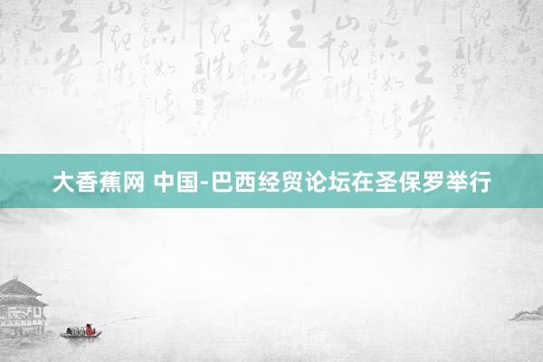 大香蕉网 中国-巴西经贸论坛在圣保罗举行