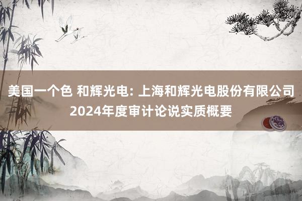 美国一个色 和辉光电: 上海和辉光电股份有限公司2024年度审计论说实质概要