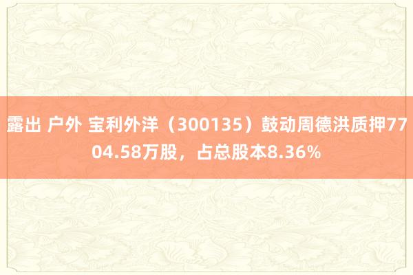 露出 户外 宝利外洋（300135）鼓动周德洪质押7704.58万股，占总股本8.36%