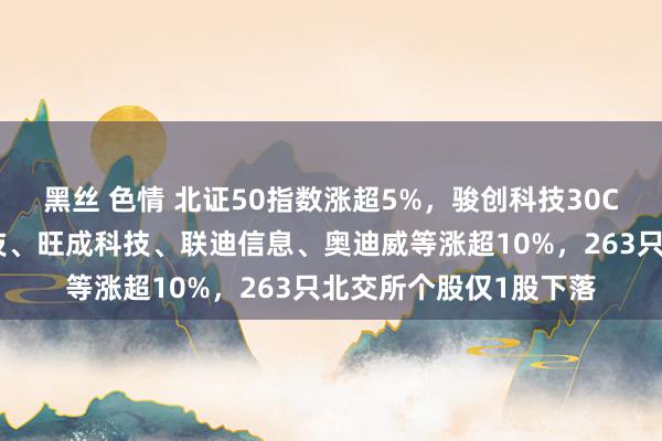 黑丝 色情 北证50指数涨超5%，骏创科技30CM涨停领涨，鸿智科技、旺成科技、联迪信息、奥迪威等涨超10%，263只北交所个股仅1股下落