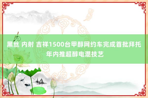 黑丝 内射 吉祥1500台甲醇网约车完成首批拜托 年内推超醇电混技艺