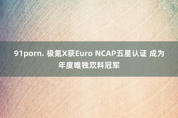 91porn. 极氪X获Euro NCAP五星认证 成为年度唯独双料冠军