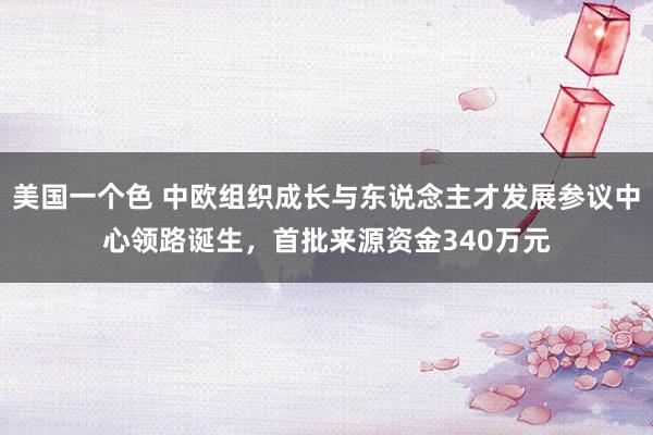 美国一个色 中欧组织成长与东说念主才发展参议中心领路诞生，首批来源资金340万元