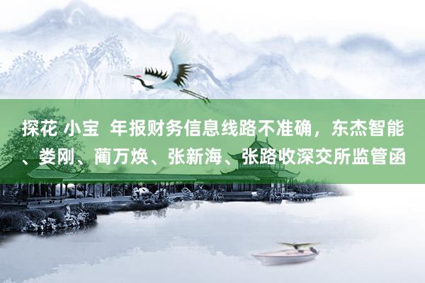 探花 小宝  年报财务信息线路不准确，东杰智能、娄刚、蔺万焕、张新海、张路收深交所监管函