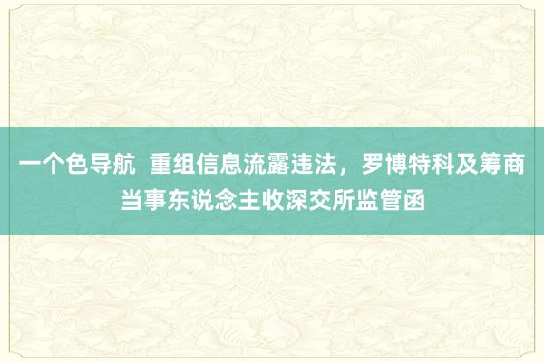 一个色导航  重组信息流露违法，罗博特科及筹商当事东说念主收深交所监管函