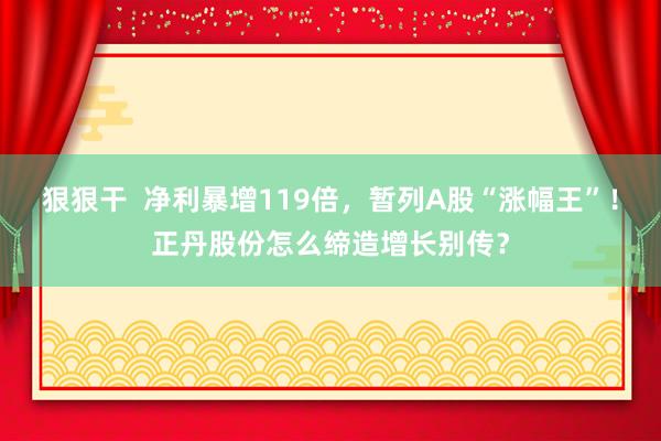 狠狠干  净利暴增119倍，暂列A股“涨幅王”！正丹股份怎么缔造增长别传？