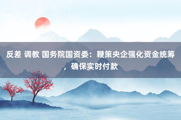 反差 调教 国务院国资委：鞭策央企强化资金统筹，确保实时付款