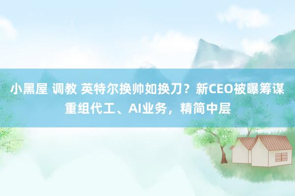 小黑屋 调教 英特尔换帅如换刀？新CEO被曝筹谋重组代工、AI业务，精简中层