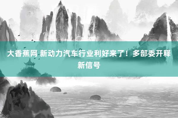 大香蕉网 新动力汽车行业利好来了！多部委开释新信号