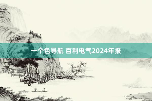 一个色导航 百利电气2024年报