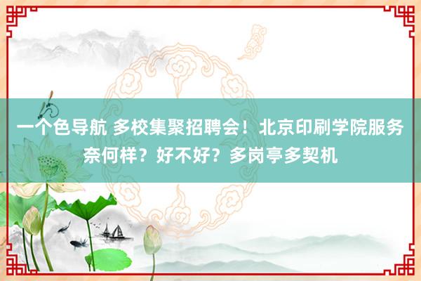 一个色导航 多校集聚招聘会！北京印刷学院服务奈何样？好不好？多岗亭多契机