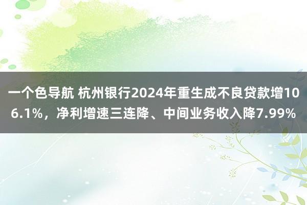 一个色导航 杭州银行2024年重生成不良贷款增106.1%，净利增速三连降、中间业务收入降7.99%