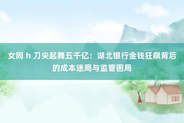 女同 h 刀尖起舞五千亿：湖北银行金钱狂飙背后的成本迷局与监管困局