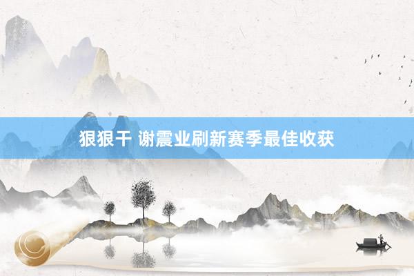 狠狠干 谢震业刷新赛季最佳收获