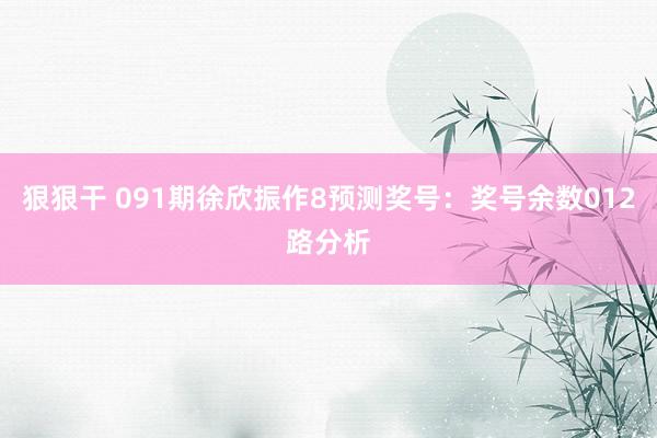 狠狠干 091期徐欣振作8预测奖号：奖号余数012路分析